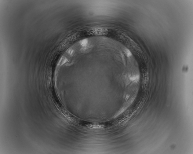 X0000098210553200805151256
