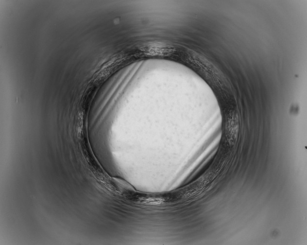 X0000098210554200805151256