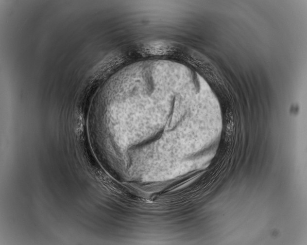 X0000098210555200805151256