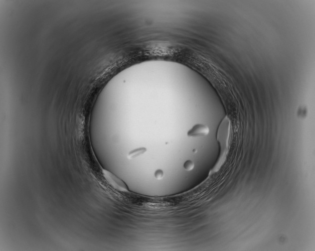 X0000098210556200805151256