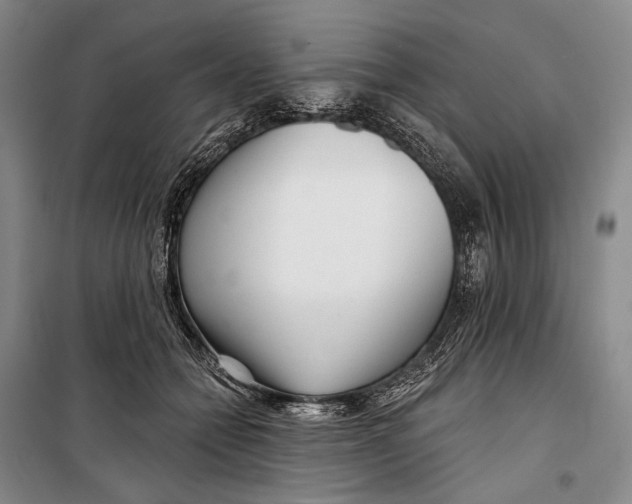 X0000098210558200805151256