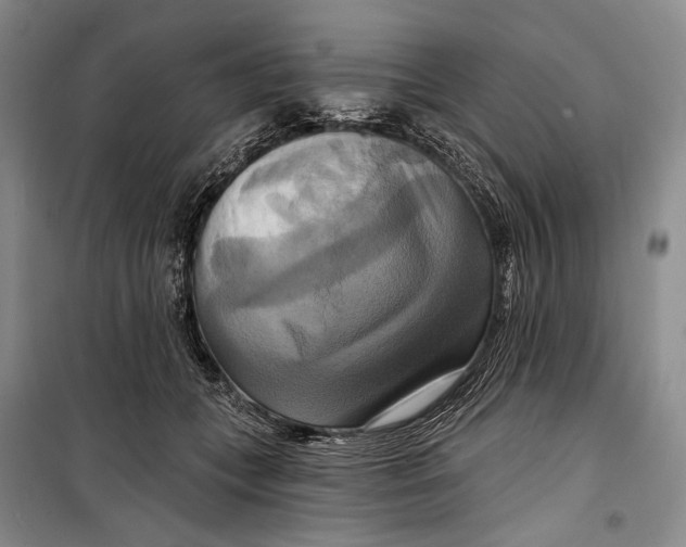 X0000098210559200805151256