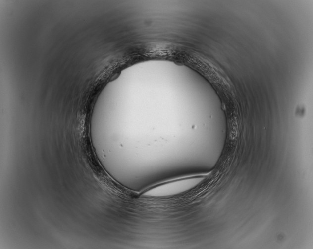 X0000098210560200805151256