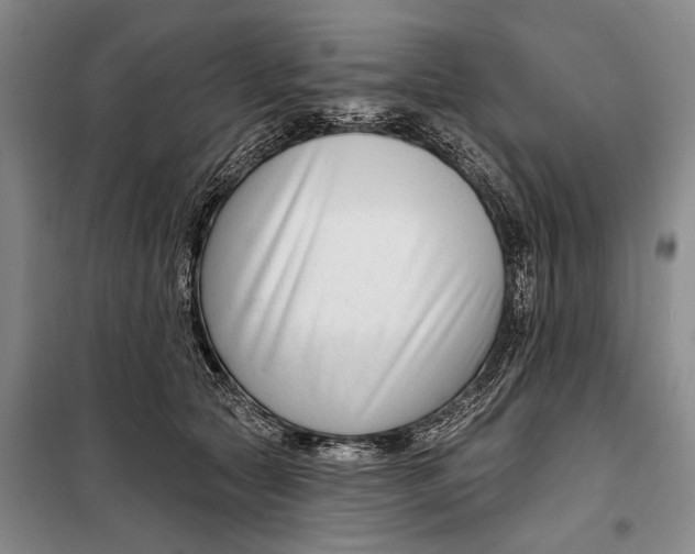 X0000098210561200805151256