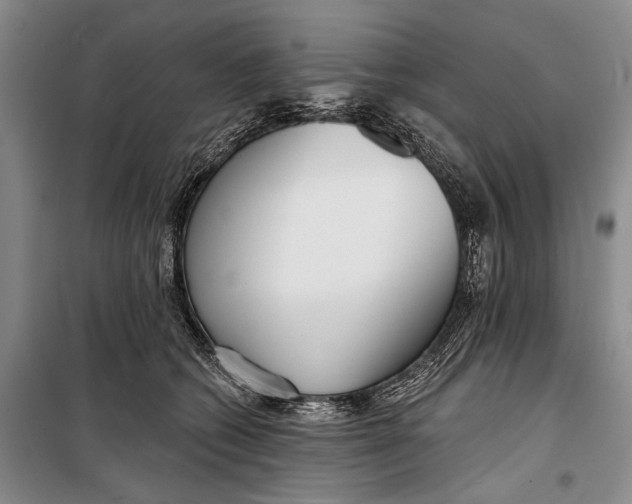 X0000098210562200805151256