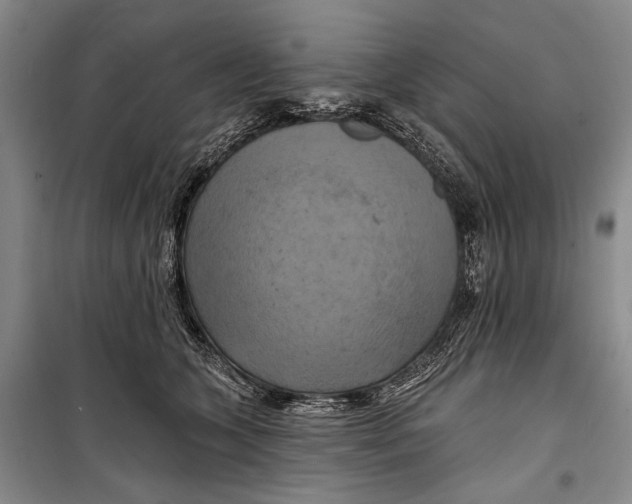 X0000098210563200805151256