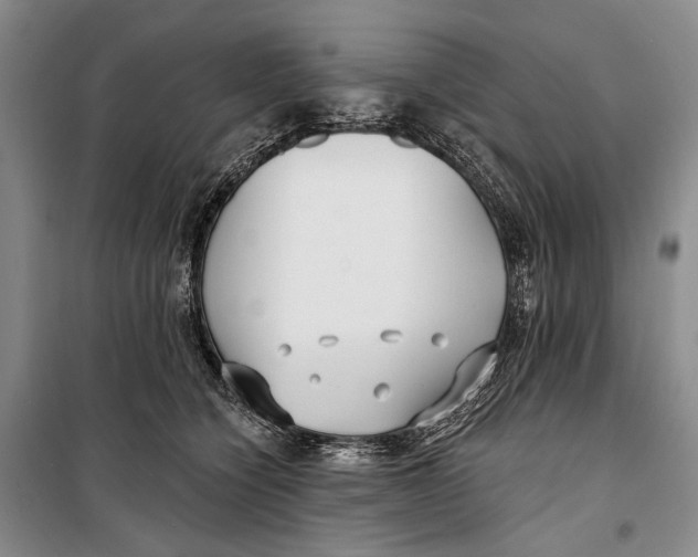 X0000098210564200805151256
