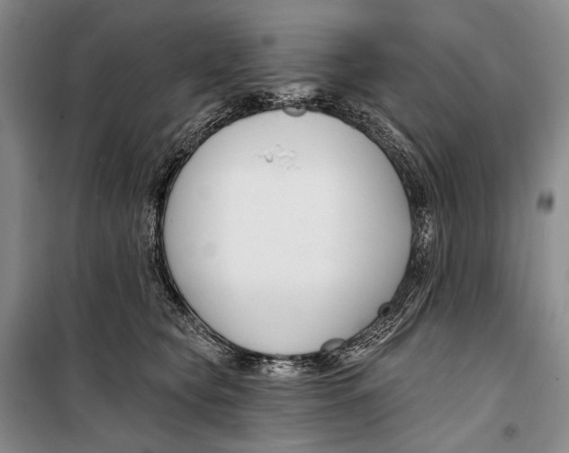 X0000098210565200805151256