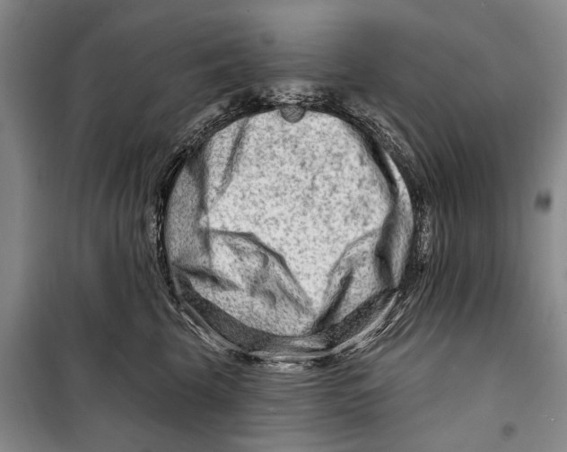 X0000098210569200805151256