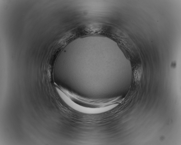X0000098210570200805151256