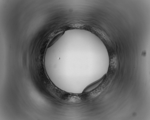 X0000098210572200805151256