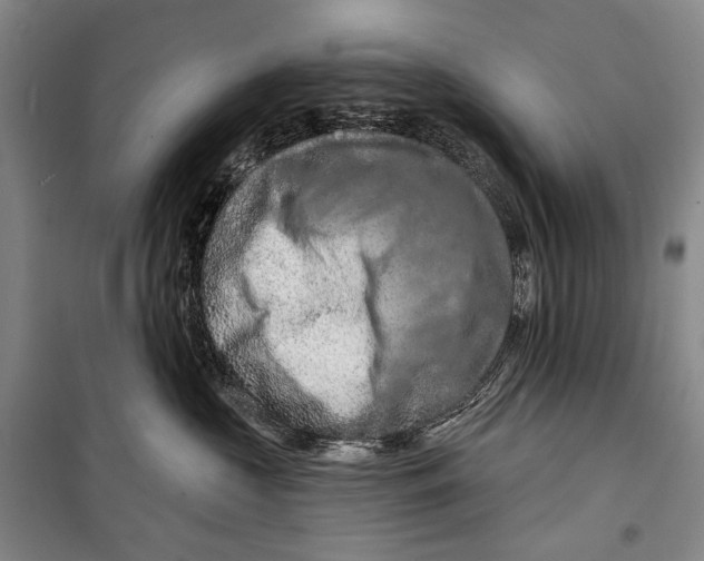 X0000098210573200805151256