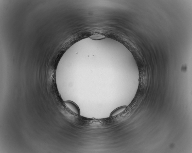X0000098210574200805151256