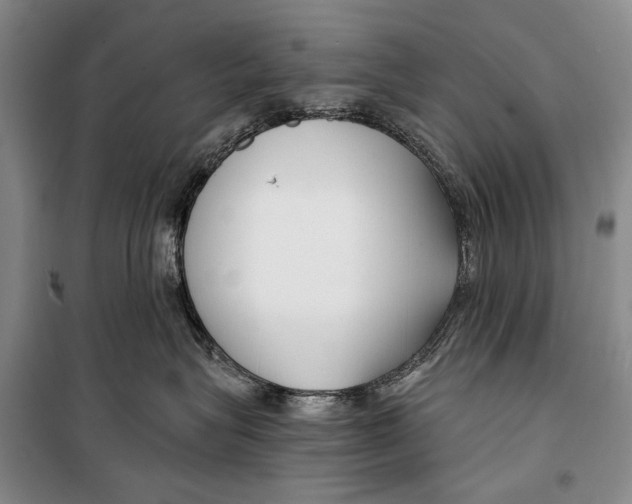 X0000098210575200805151256