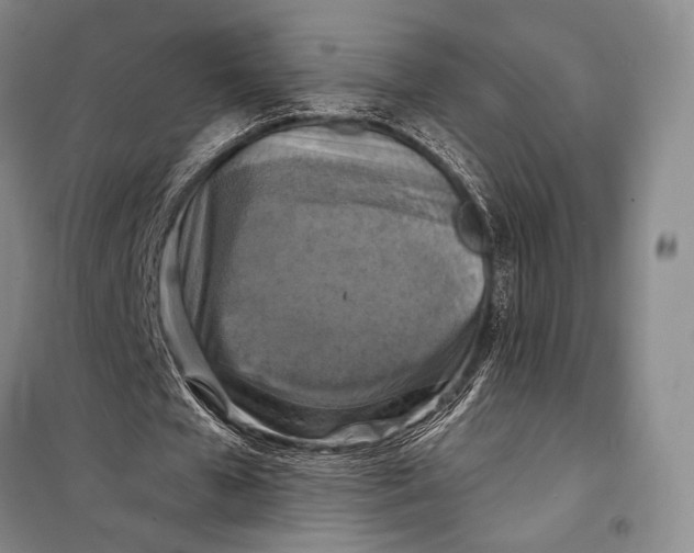 X0000098210577200805151255