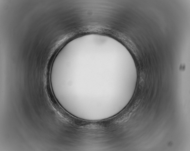 X0000098210578200805151255