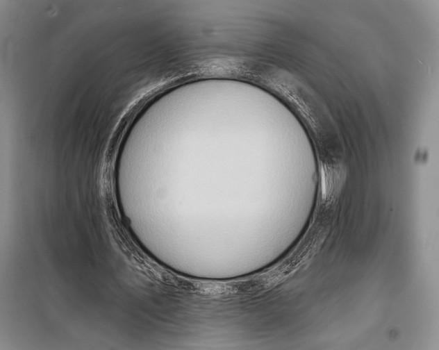 X0000098210579200805151255