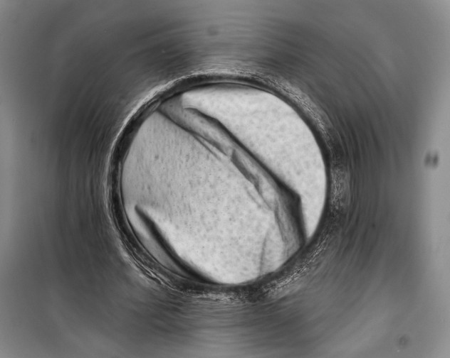 X0000098210580200805151255
