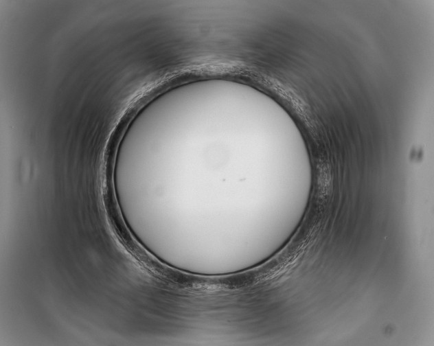X0000098210582200805151255