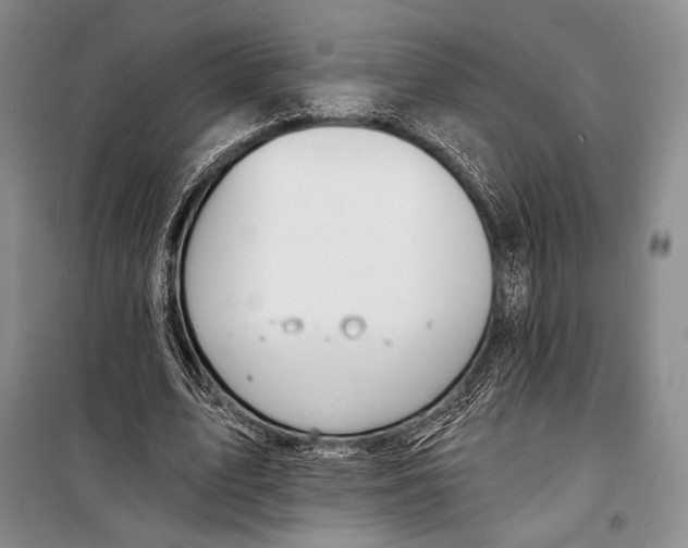 X0000098210583200805151255