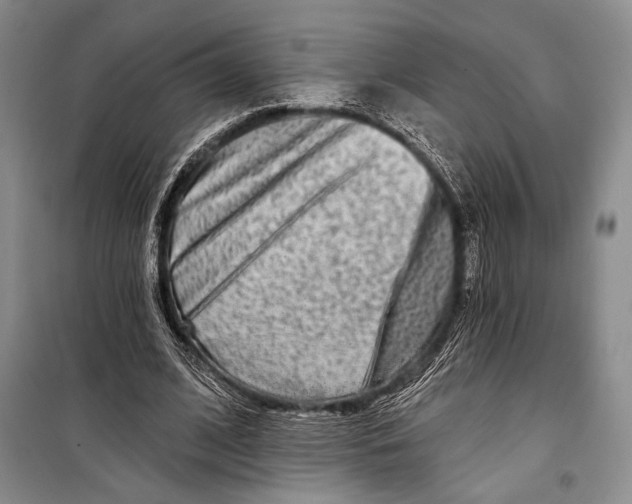 X0000098210584200805151255