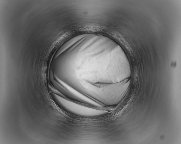 X0000098210585200805151255