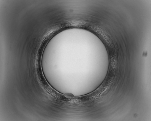 X0000098210587200805151255