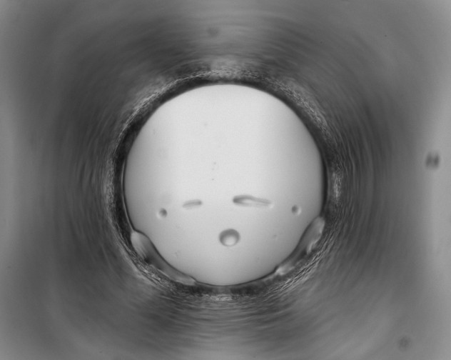 X0000098210588200805151255