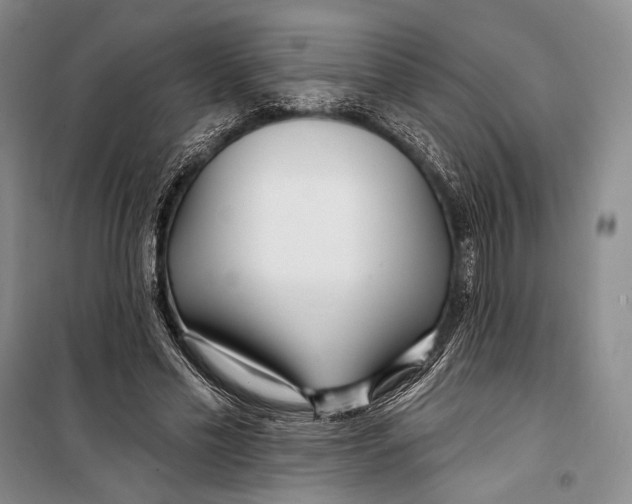 X0000098210589200805151255