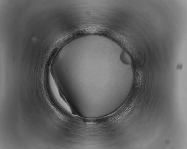 X0000098210590200805151255