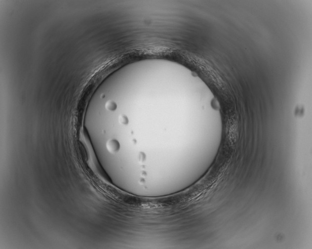 X0000098210591200805151255