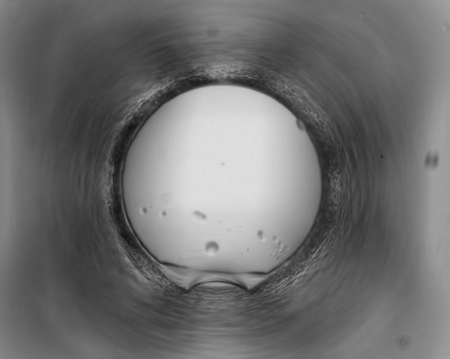 X0000098210592200805151255