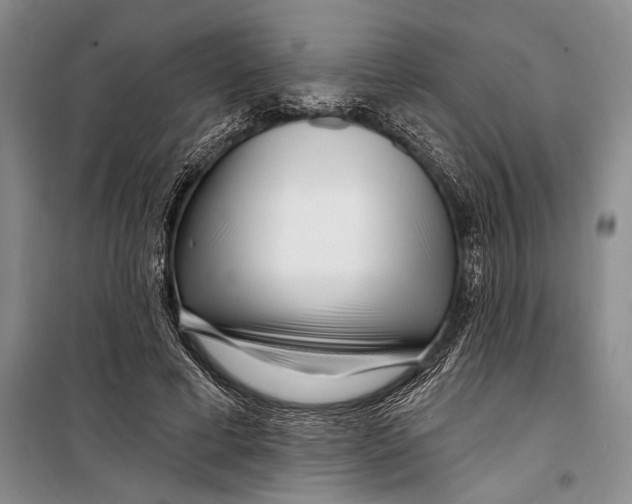 X0000098210593200805151255
