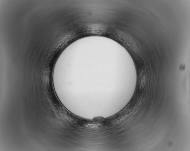 X0000098210595200805151255