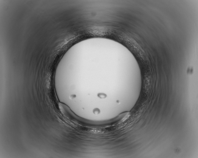 X0000098210596200805151255