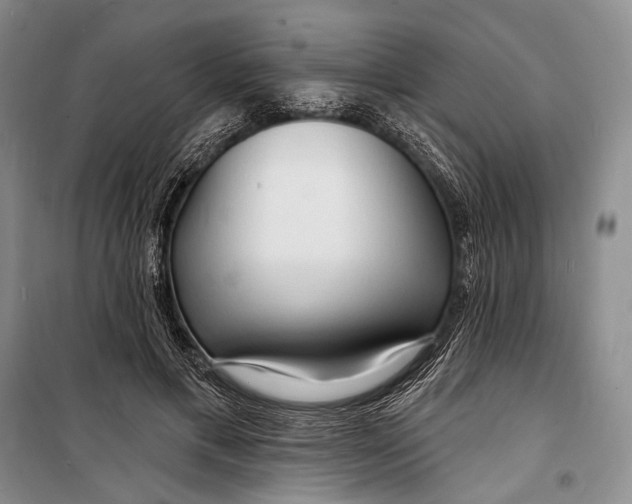X0000098210597200805151255