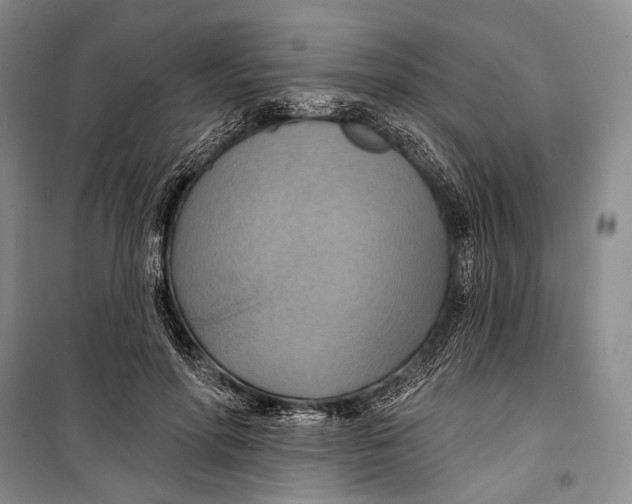 X0000098210598200805151255
