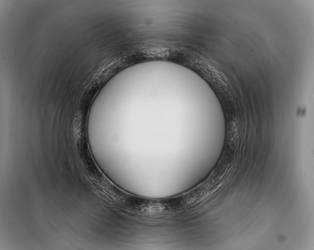 X0000098210600200805151255