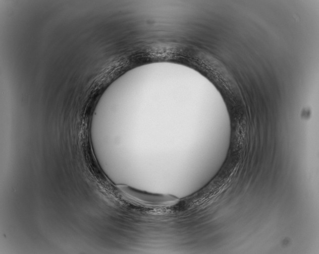 X0000098210601200805151255