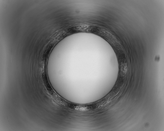 X0000098210602200805151255