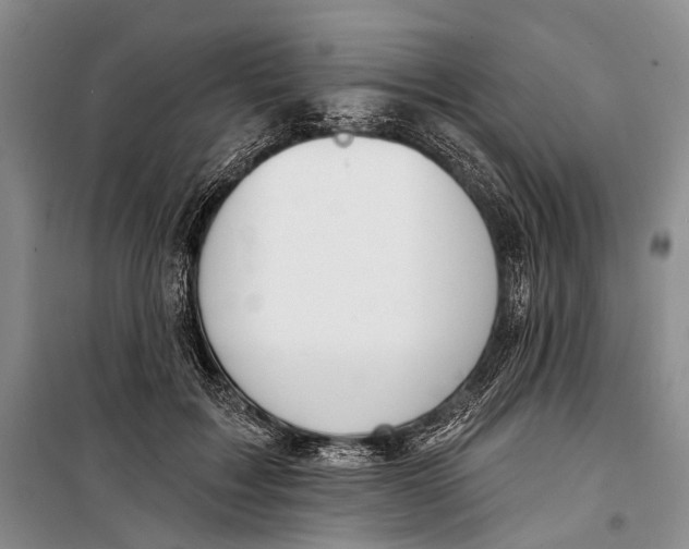 X0000098210603200805151255