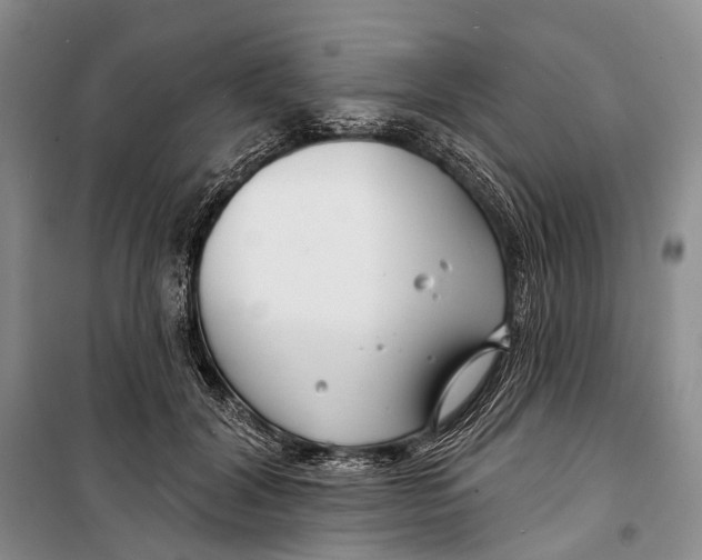 X0000098210604200805151255