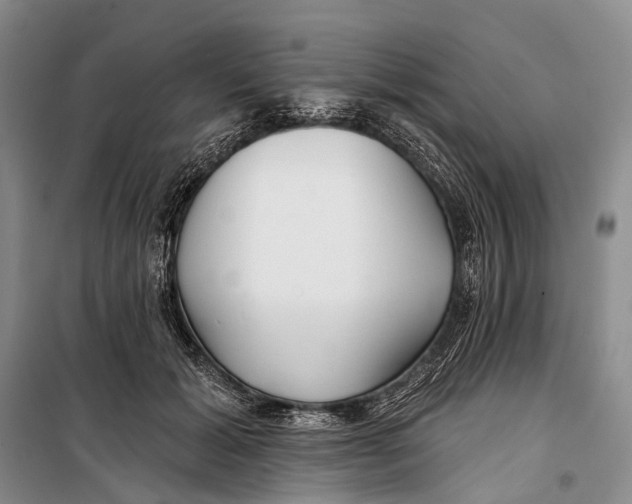X0000098210605200805151255