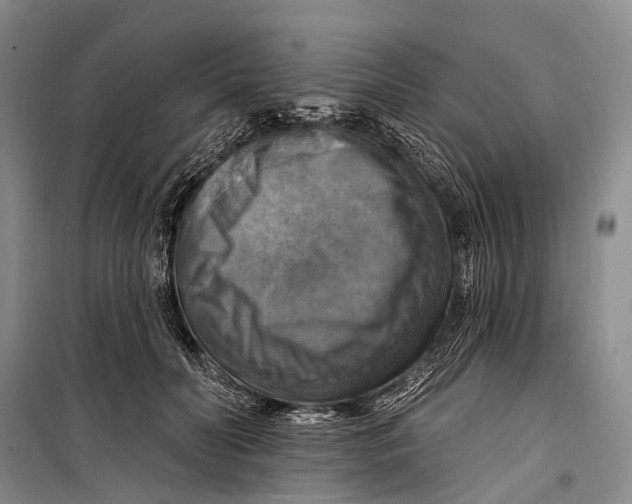 X0000098210606200805151255