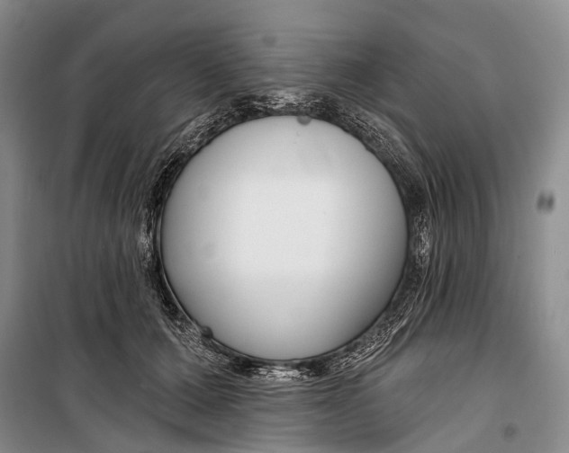 X0000098210607200805151255
