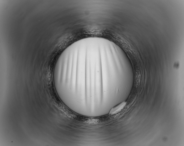 X0000098210609200805151255