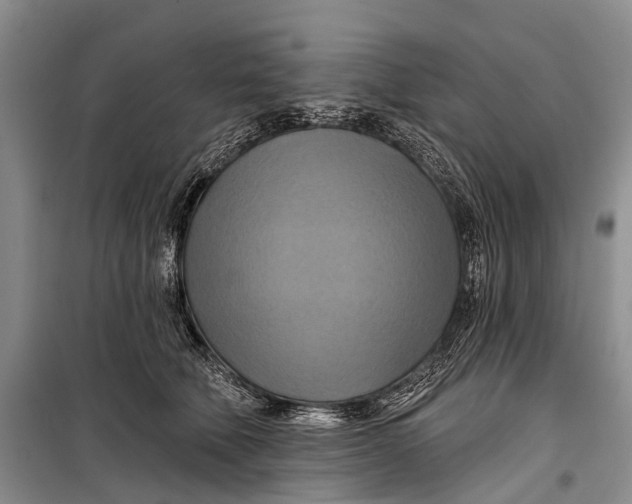 X0000098210610200805151255