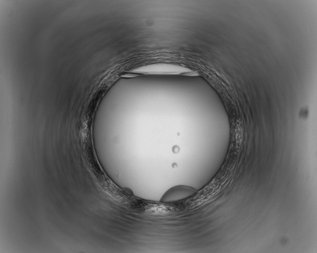 X0000098210611200805151255