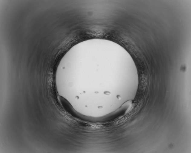 X0000098210612200805151255