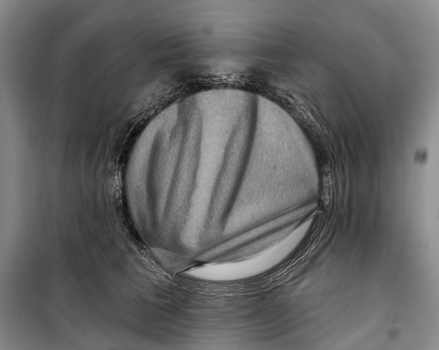 X0000098210613200805151255